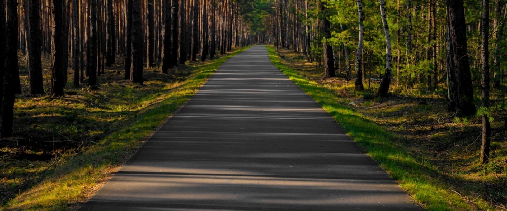 Unterwegs auf der alten Bahntrasse